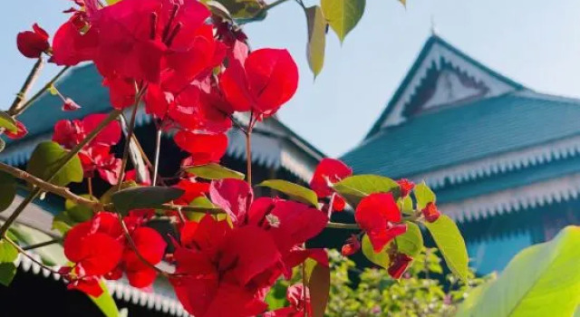 Zaizili Dai Villa