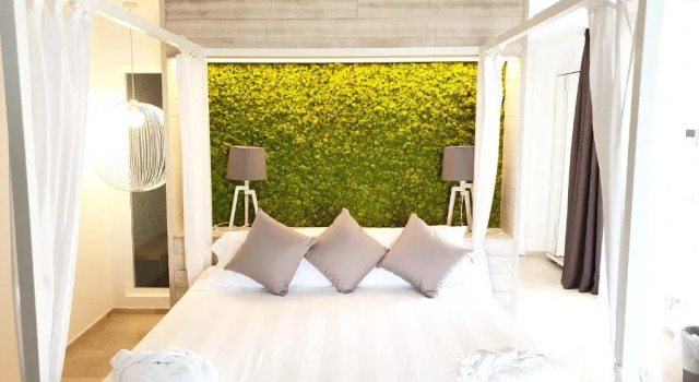Двухместный номер Deluxe San Lorenzo Boutique Hotel & SPA