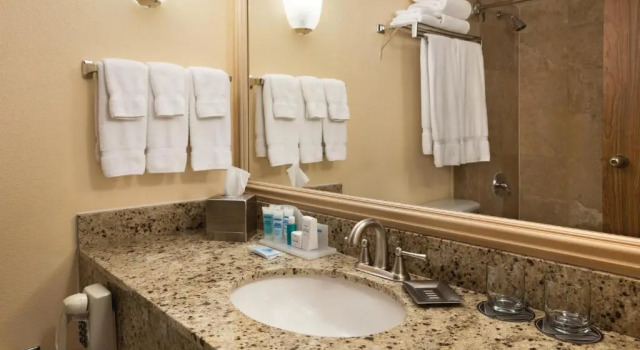 Двухместный номер Standard Wyndham El Paso Airport and Water Park