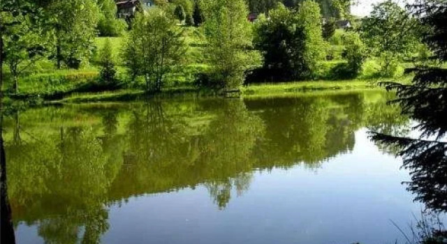 Domaine de la Vigotte - Chalets, Rezervovat Chata Hotely v Lotrinsko se snídaní, Snídaně