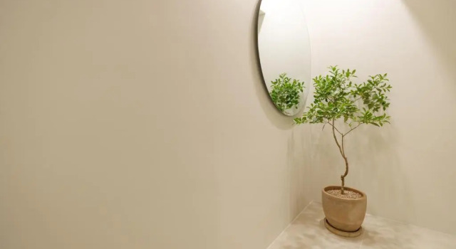 Люкс Superior White Linen House