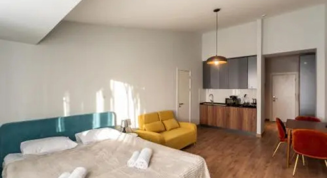 Flat 1 bedroom 1 bathroom - Gudauri