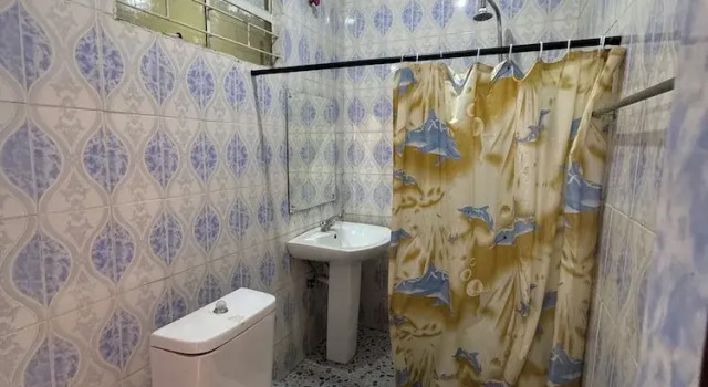 Номер Deluxe Bluegum Avenue Lodge
