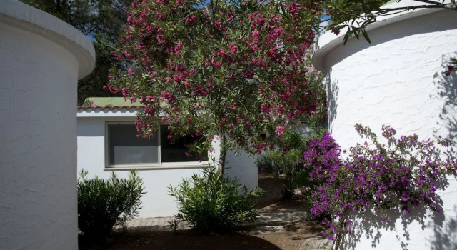 Бунгало Villaggio Capo Vieste Camping