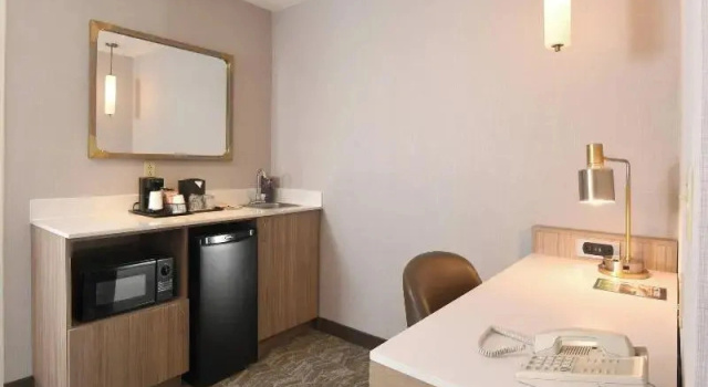 Одноместный люкс c 1 комнатой SpringHill Suites Des Moines West