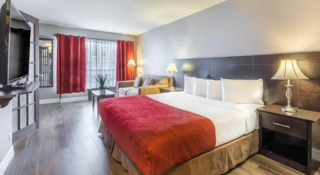 Номер Deluxe Hotel Universel