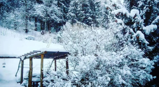 Апартаменты Bondine Apartments Valle d'Aosta