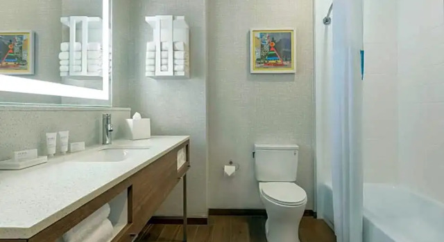 Двухместный люкс c 1 комнатой Hampton Inn & Suites Houston-Cypress Station