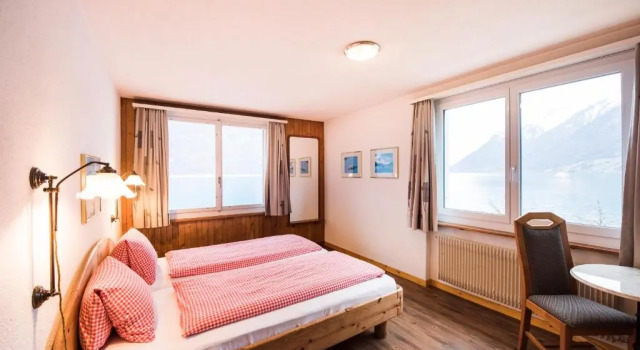 Апартаменты Hotel Brienzerburli