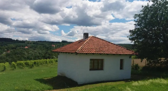 Апартаменты с видом на сад The House in the Vineyards