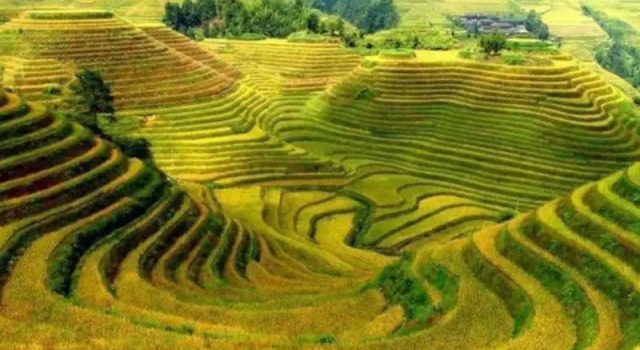 Guilin Longji Zhai Hualou Inn