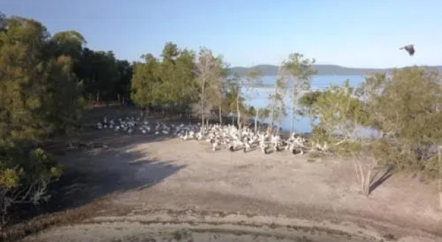 Booti Booti Chateau Lakeside