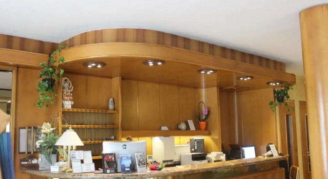 Одноместный номер Standard New Alexander Hotel