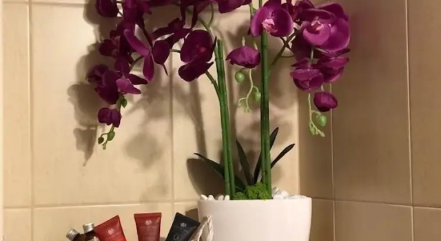 Апартаменты Comfort Teo's Flat
