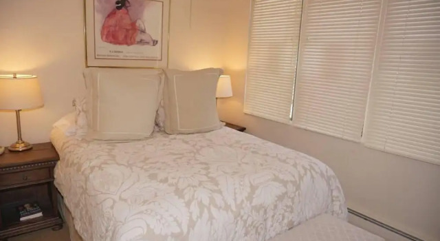 Great Location 1 Block From Gondola!!! - Outstanding Views Of Ajax 3 Bedroom Condo by RedAwning