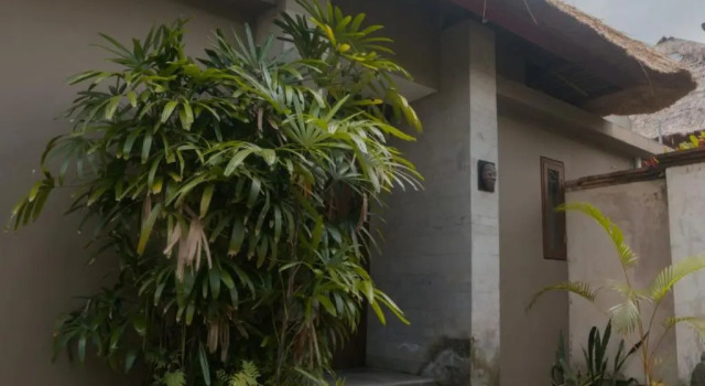 Вилла Luwak Ubud Villa & Jungle Suite