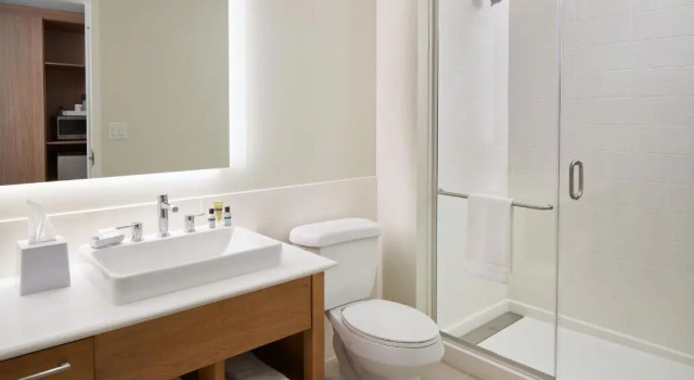 Номер Standard Element by Marriott Orlando at SeaWorld