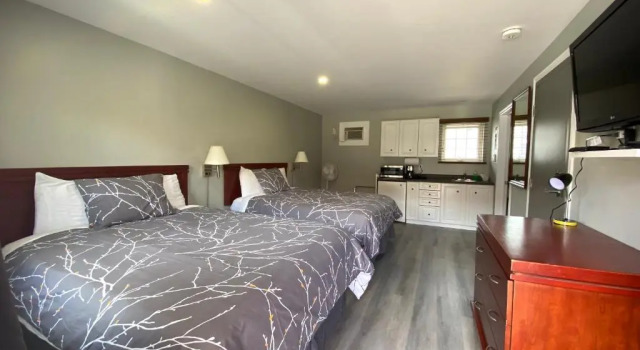 Четырёхместный номер Standard Lakeshore Suites