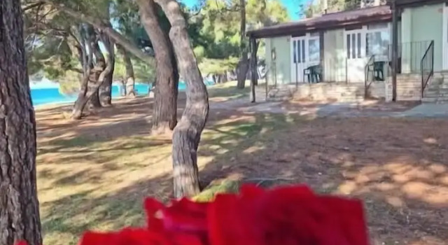 Бунгало Family Bungalow Pineta