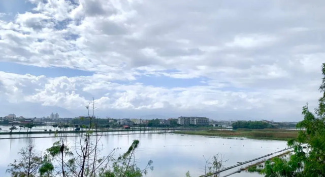 Номер Deluxe Rice Field Homestay