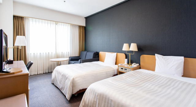 Двухместный номер Standard Southern City Hotel
