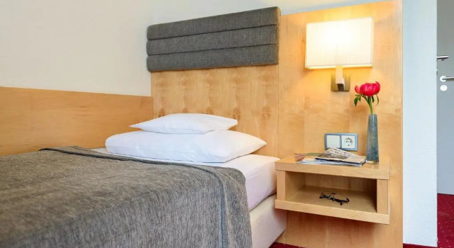 Одноместный номер Economy Hotel de France Wiesbaden City