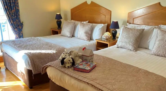Четырёхместный семейный номер Standard OSheas Hotel