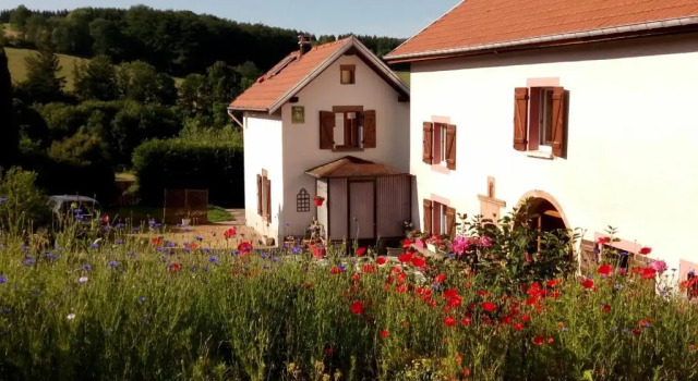 Gite Laveline-du-Houx, 2 pièces, 3 personnes - FR-1-589-141, Reservar Hotel Laveline-du-Houx Lorena