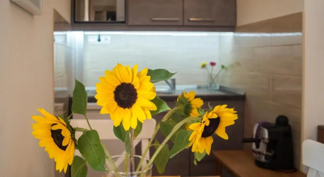 Студия Friendly home in the center