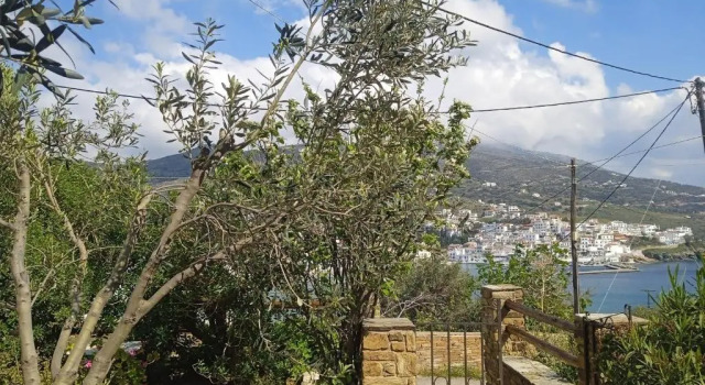 Апартаменты c 1 комнатой Villa Athina 3