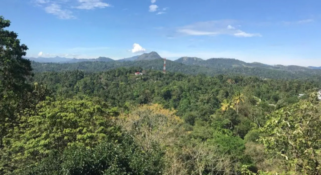 Номер Superior Elegant Hotel, Kandy