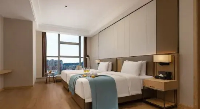 Люкс Standard Vienna International Hotel (Shenzhen Pingshan High-Speed Railway  Baolong Subway Station  Branch)