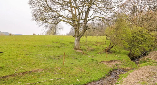 Căsuță Pines Pitch