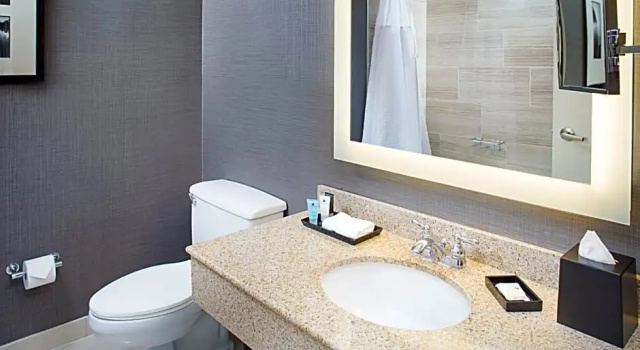 Двухместный номер Executive Crowne Plaza Annapolis by IHG