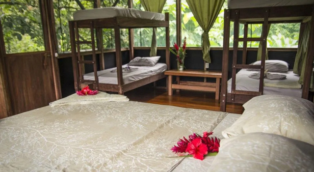 Naguala Jungle Lodge, Rezervovat Hotel Hotely v Drake Bay s bazénem, Bazén
