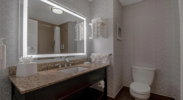 Четырёхместный номер Standard Hampton Inn & Suites Harvey New Orleans Westbank