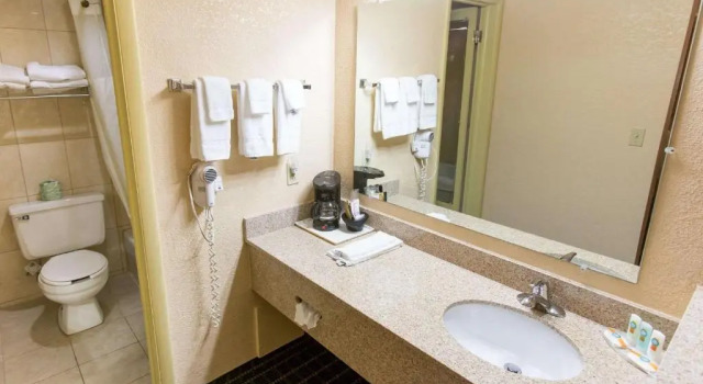 Номер Standard Quality Inn & Suites Big Rapids near University