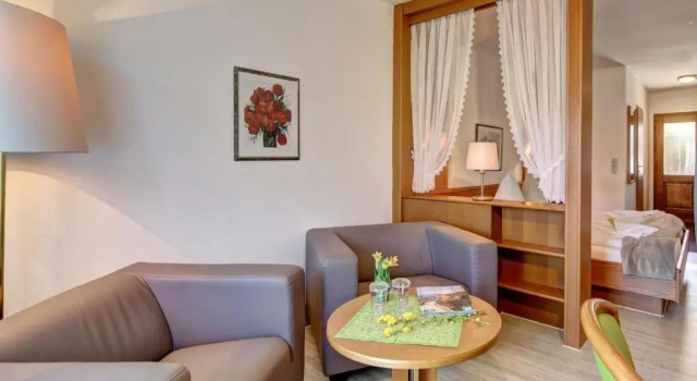 Двухместный номер Standard Village Hotel Bayerischer Wald