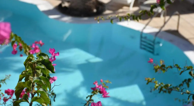 Номер Deluxe Arion Bay Hotel Santorini