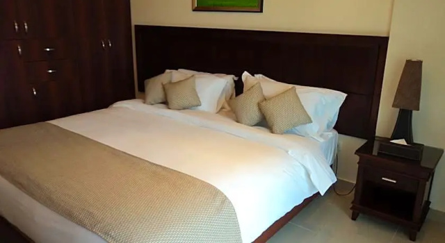 Двухместный номер Deluxe Midtown Hotel & Suites