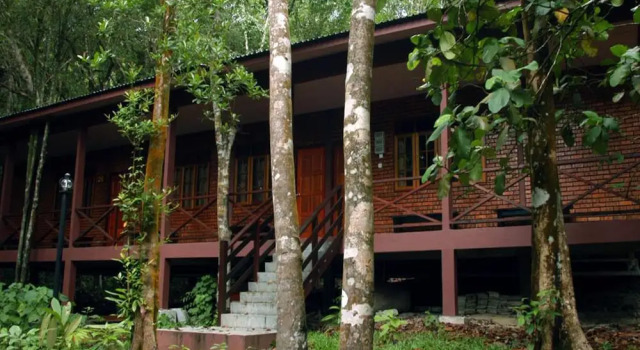 Номер Standard Permai Rainforest Resort