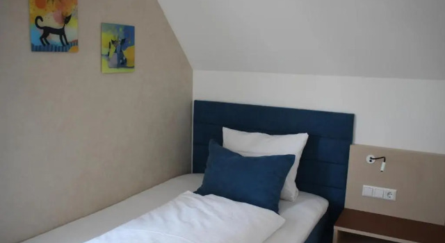 Номер Standard Hotel Rebstöckle
