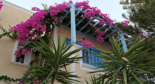 Апартаменты Hotel Zeus