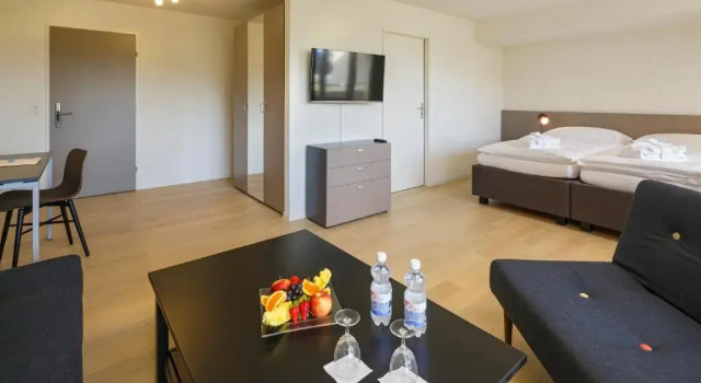Полулюкс VitalBoutique Hotel Zurzacherhof