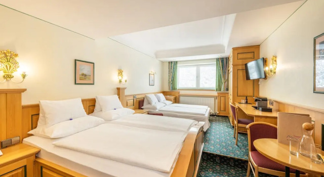 Студия Hotel Alpina