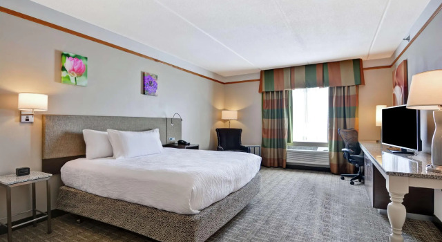 Standard Doppel Zimmer Hilton Garden Inn Appleton/Kimberly