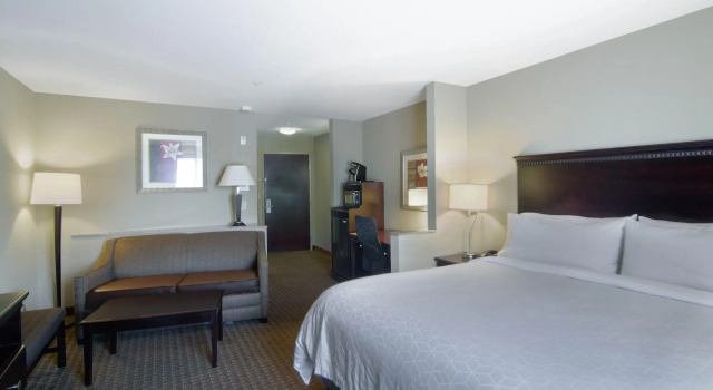 Номер Standard Comfort Suites Mobile-South Alabama University Area