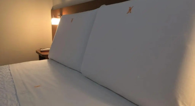 Номер Standard Hotel Cathedral
