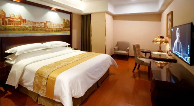 Двухместный номер Deluxe Vienna International Pudong Free Trade Zone
