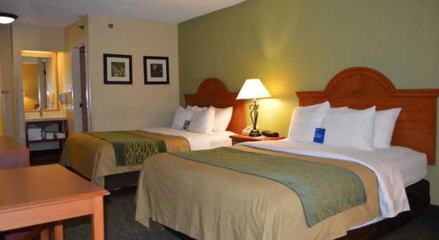 Comfort Inn Pine Grove I-81 Hershey Area, Buchen Sie Hotel Pine Grove Pennsylvania